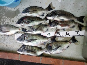 s-IMG_20121202_155932