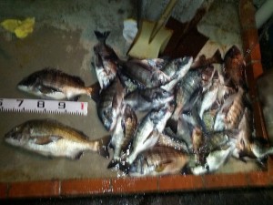 s-IMG_20121208_172512