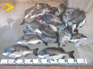 s-IMG_20121209_163052