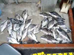 s-IMG_20121214_154327