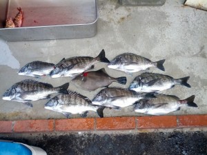 s-IMG_20121217_155814