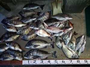 s-IMG_20121229_170635
