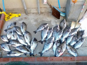 s-IMG_20130104_161430