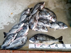 s-IMG_20130108_154108
