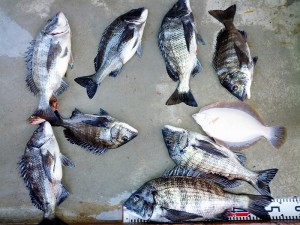 s-IMG_20130120_164601