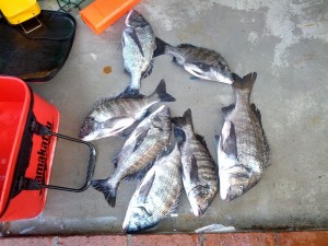 s-IMG_20130130_155053