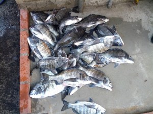 s-IMG_20130209_161453