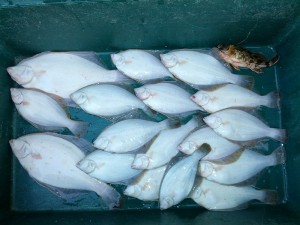 s-IMG_20130216_163311