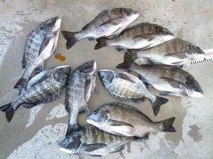 s-IMG_20130221_154657