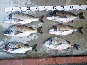 s-IMG_20130305_155843