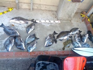 s-IMG_20130321_155211