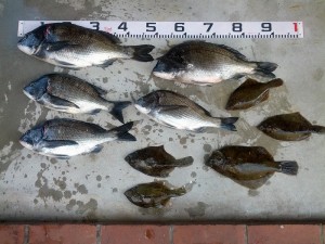 s-IMG_20130412_155402