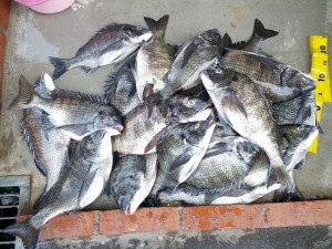 s-IMG_20130416_160959
