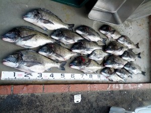 s-IMG_20130418_160044
