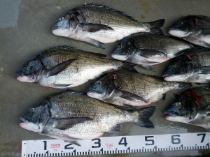 s-IMG_20130418_160053