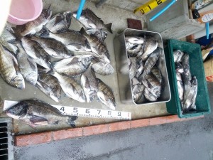 s-IMG_20130420_162204