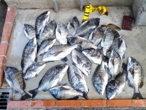 s-IMG_20130421_160834