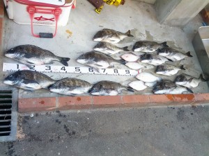 s-IMG_20130422_155609