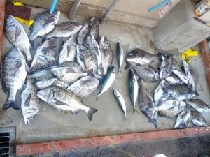 s-IMG_20130501_161219