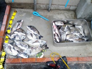 s-IMG_20130518_164544