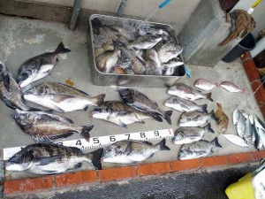 s-IMG_20130527_161145