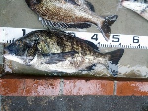 s-IMG_20130527_161217