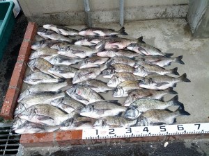 s-IMG_20130531_160105