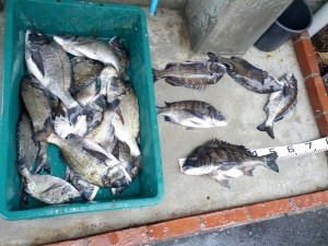 s-IMG_20130601_160727