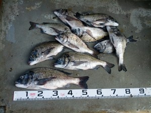 s-IMG_20130622_160817