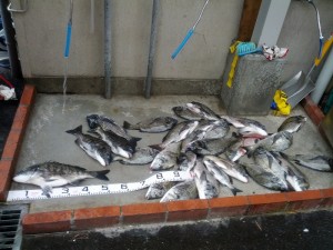 s-IMG_20130623_155321