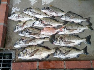 s-IMG_20130626_151406