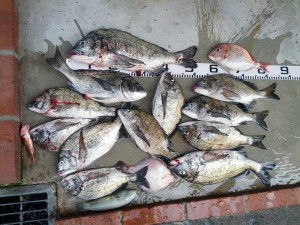 s-IMG_20130705_144350
