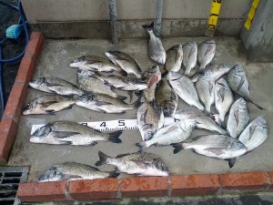 s-IMG_20130706_161227