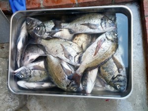 s-IMG_20130709_145851
