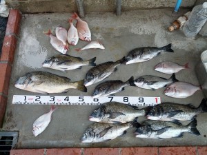 s-IMG_20130722_144717