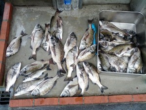 s-IMG_20130728_152005