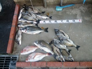 s-IMG_20130811_145302