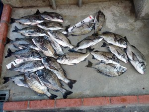 s-IMG_20130813_150744