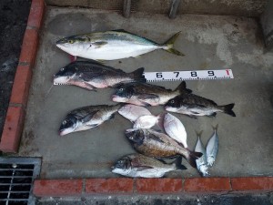 s-IMG_20130816_144730