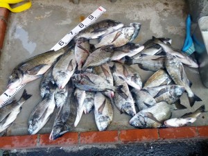 s-IMG_20130817_151127