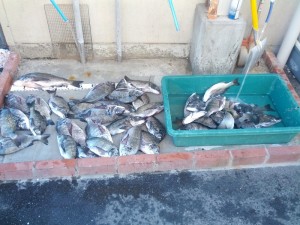 s-IMG_20130916_160738
