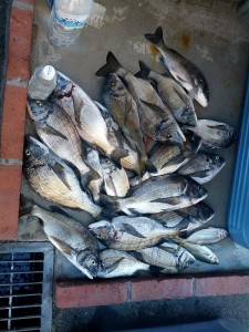s-IMG_20130919_154342