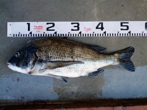 s-IMG_20130921_160455