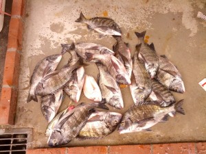 IMG_20131230_161724