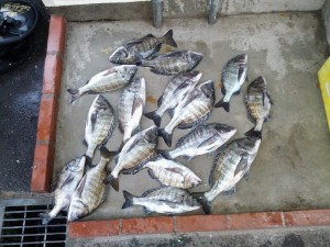 s-IMG_20131201_161134