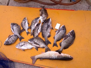 s-IMG_20131223_153303