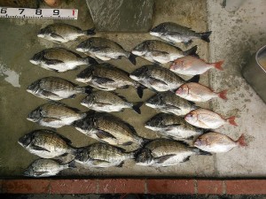 s-NCM_0010