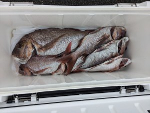 s-PXL_20251025_060031729