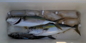 s-IMG_20251106_145341