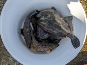 s-PXL_20251103_054707297